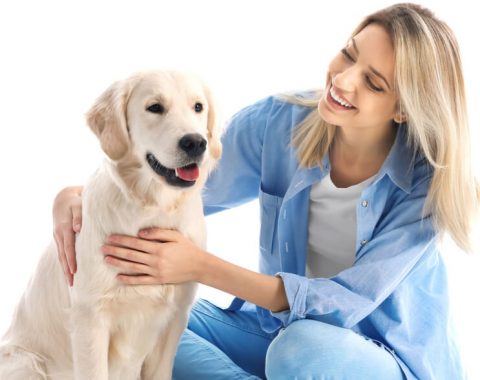 Animal Care