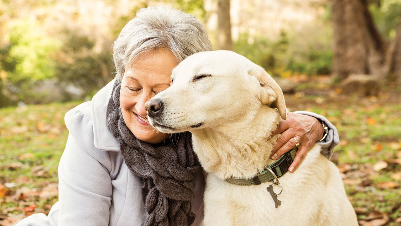senior-pet-care
